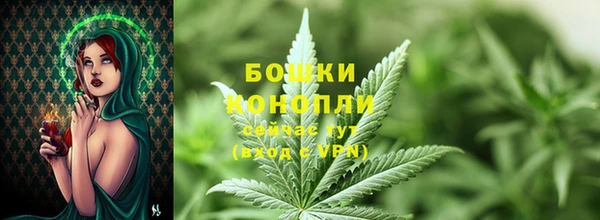 ешки Михайлов