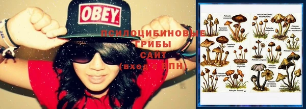 jwh Михайловск