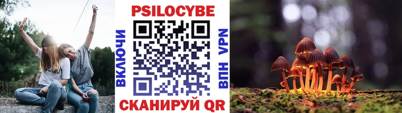 Псилоцибиновые грибы Psilocybine cubensis  кракен онион  Усть-Кут 